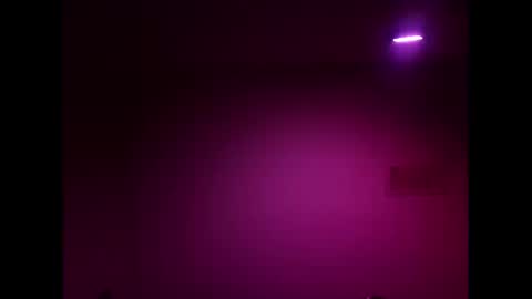 Strawberry online show from 02/19/26, 10:11