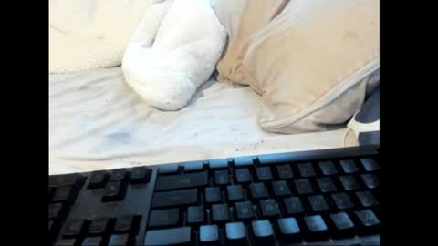 strawboy300 online show from 01/26/25, 08:45