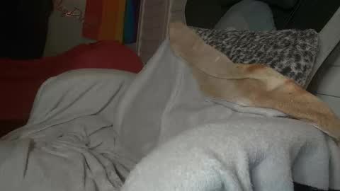 Dong Stroker online show from 03/18/26, 09:01