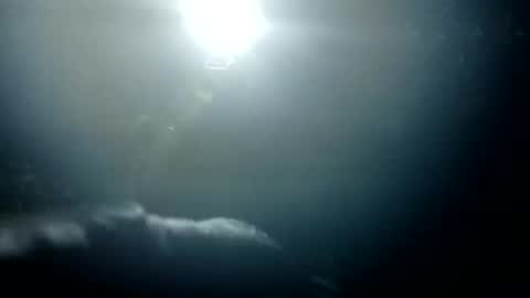 Bigdickdugan online show from 01/26/25, 01:36