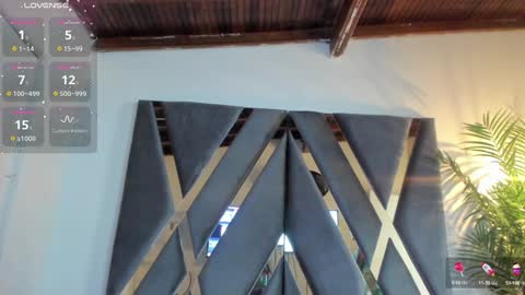 Alexa   online show from 01/24/25, 11:04