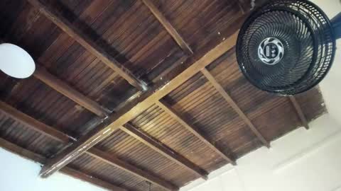 Alexa   online show from 03/25/26, 11:05