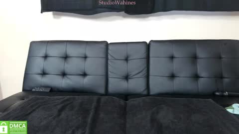 Snapshot of studiowahines chatting on 01/29/25, 10:11 StudioWahines online show from 01/29/25, 10:11