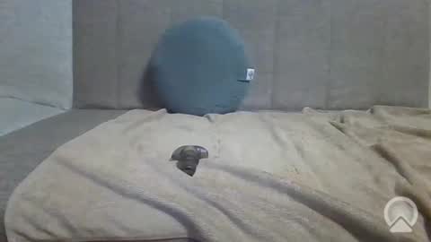 Snapshot of sub_12107 chatting on 06/10/26, 08:41 sub_12107 online show from 06/10/26, 08:41