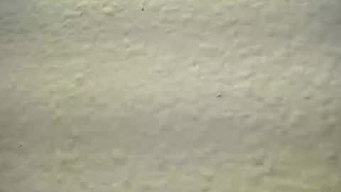 Snapshot of subswichuser00060960 chatting on 10/03/25, 01:52 subswitchuser online show from 10/03/25, 01:52