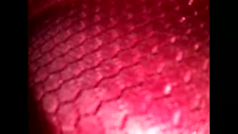 suck_me810555 online show from 10/19/25, 07:25