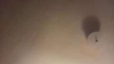 suckfucksuck69 online show from 12/11/24, 10:14