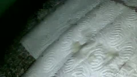 Martin sweetboy online show from 02/18/25, 09:53