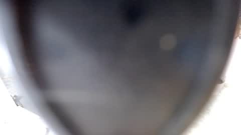 Snapshot of sugarplumy chatting on 07/10/26, 03:44 KUROME online show from 07/10/26, 03:44