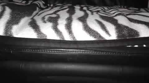 s online show from 12/24/24, 09:11