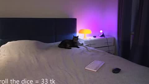 Amy online show from 05/02/26, 06:13