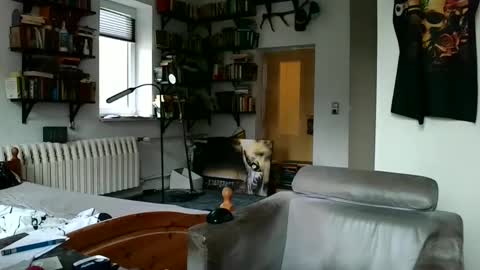 Snapshot of sunr1sa chatting on 12/07/24, 07:49 sunr1sa online show from 12/07/24, 07:49