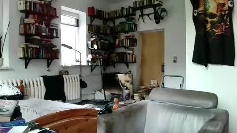 Snapshot of sunr1sa chatting on 01/03/25, 10:41 sunr1sa online show from 01/03/25, 10:41