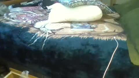 Suntroll online show from 03/18/26, 06:55