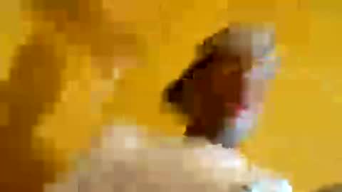 superbj245 online show from 06/13/26, 08:23