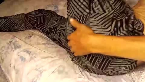 Snapshot of superdavedetailzz2025 chatting on 09/19/25, 06:37 superdavedetailzz2025 online show from 09/19/25, 06:37