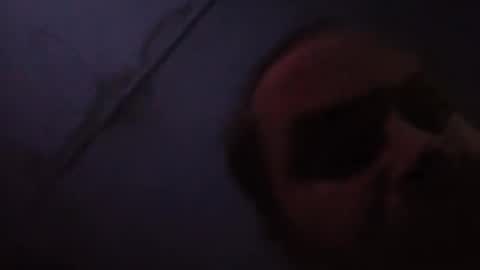 sloth online show from 02/20/26, 11:43