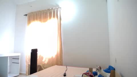 Susana online show from 01/21/25, 04:48