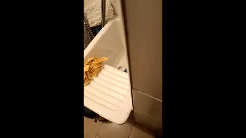 suso9092 online show from 03/23/26, 11:42