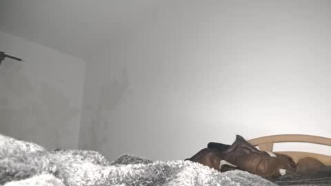 Snapshot of suzuki1250 chatting on 03/06/26, 09:06 suzuki1250 online show from 03/06/26, 09:06