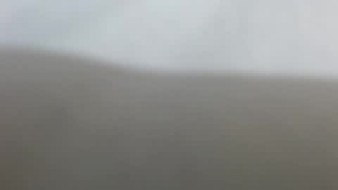 Suzy online show from 02/17/26, 12:34