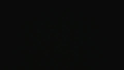 Swakken online show from 12/16/24, 07:43