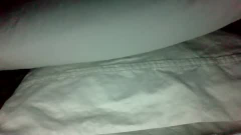 swampdonkey419 online show from 02/19/25, 11:28