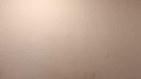 sweaterboy666 online show from 03/10/26, 11:37