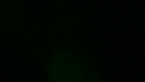 sweeetiiefox online show from 02/24/26, 10:13