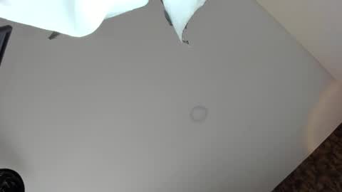 Vanessa online show from 04/05/26, 09:01