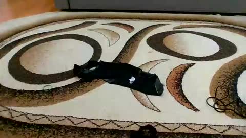 Sweet bluegirl online show from 03/06/26, 11:45