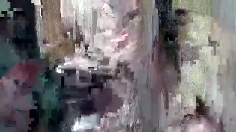 sweet_chel online show from 05/09/26, 02:39