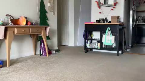 Heidi Brenner - Please check bio for schedule  FAQ online show from 12/14/25, 02:33