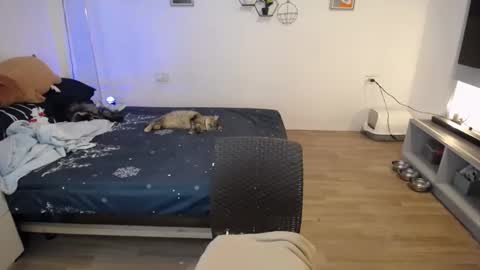 Snapshot of sweetcuteangel chatting on 01/21/25, 04:48 angel 3 online show from 01/21/25, 04:48