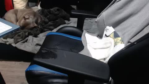 sweetgesus online show from 11/06/25, 03:57