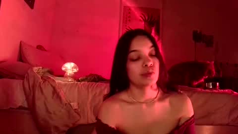 Blu Sweets online show from 12/17/24, 04:56