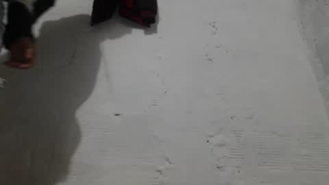 Camilo online show from 02/01/26, 11:09