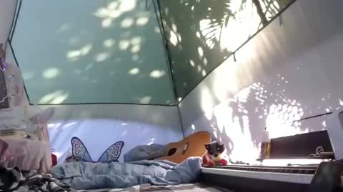 Snapshot of sweetnissapril chatting on 11/21/25, 04:16 April online show from 11/21/25, 04:16