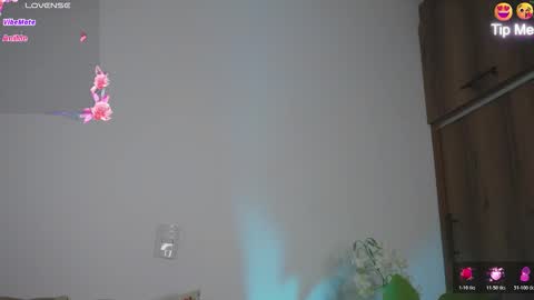 Hello Welcome Im here from WEDNESDAY to SUNDAY 430am to  830am and 3  to 7  timeMONDAY and TUESDAY i rest online show from 03/05/26, 09:44