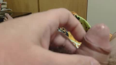 SweetRevenge online show from 12/19/25, 09:33