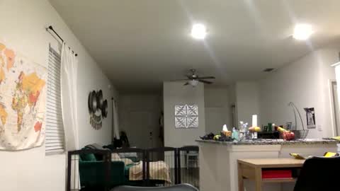 sweetriddance online show from 03/01/26, 11:34