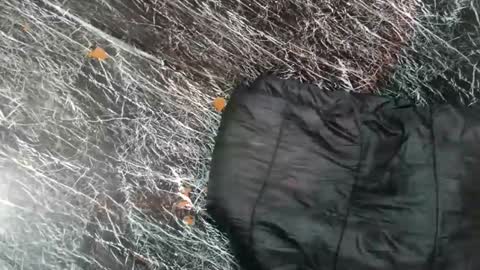 - allen online show from 11/08/25, 07:52