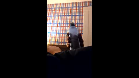 swinginghammer1987 online show from 03/30/26, 08:04