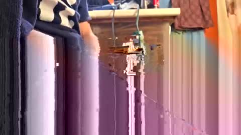 swinginghammer1987 online show from 04/11/26, 09:41