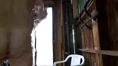 Snapshot of syevecrl chatting on 10/27/25, 12:47 syevecrl online show from 10/27/25, 12:47