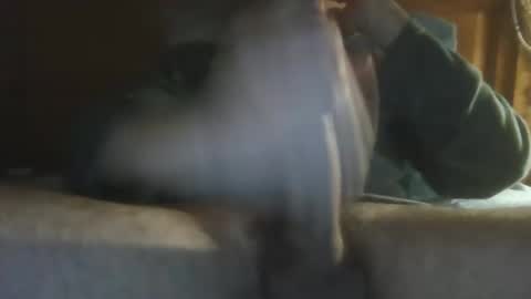 sygtryggr29 online show from 12/05/24, 12:30