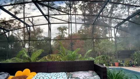 Jennah online show from 12/17/25, 09:43