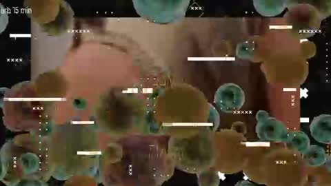 TAANNI online show from 06/22/26, 09:34