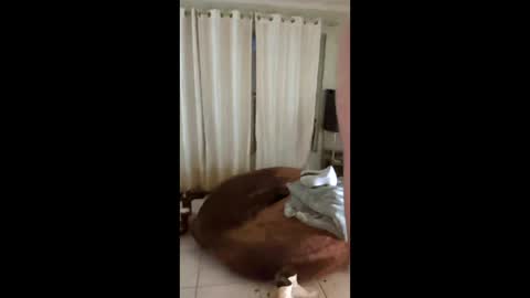 tab7exp online show from 03/21/26, 01:21