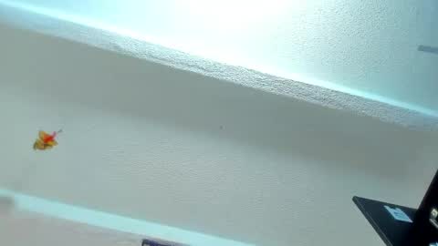 Snapshot of tafari_1 chatting on 04/30/26, 11:05 Tafari Zulu online show from 04/30/26, 11:05